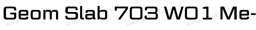 Geom Slab 703 W01 Me字体转换